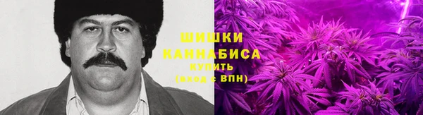 мет Лагань