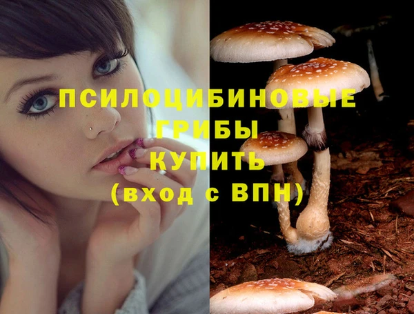 прущие крисы Лабытнанги