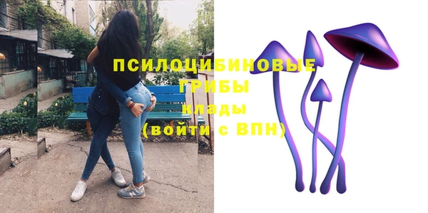 мет Лагань