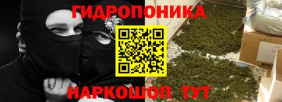 герыч Кингисепп