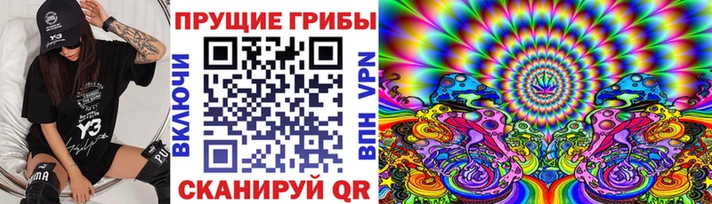 Галлюциногенные грибы ЛСД  наркошоп  Юрга 