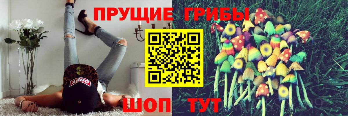Юрга  Галлюциногенные грибы Cubensis  Галлюциногенные грибы Psilocybine cubensis  Вход с VPN 